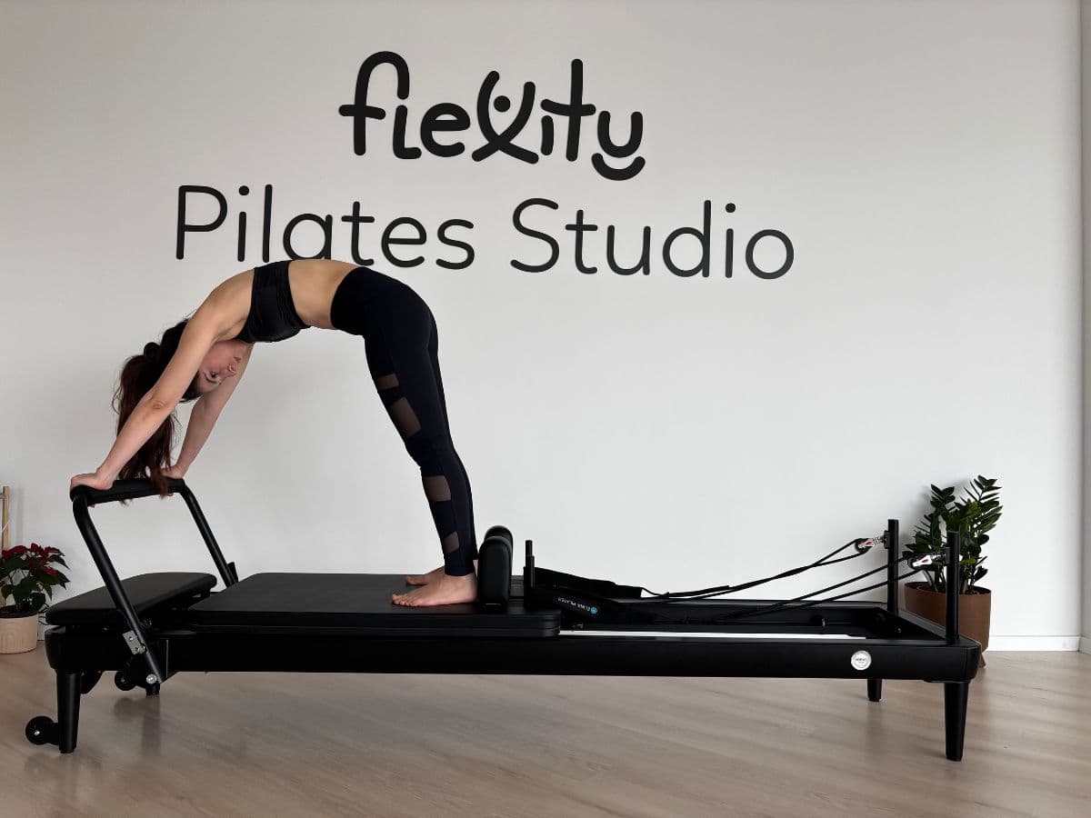 ELEPHANT — SILA ZADNEJ LÍNIE A MOBILITA CHRBTICE